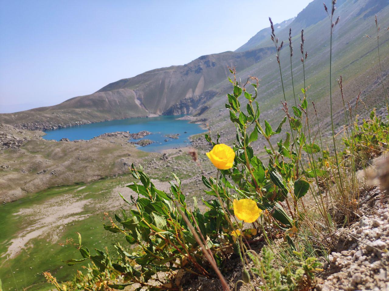 Арашанские озера в Узбекистане