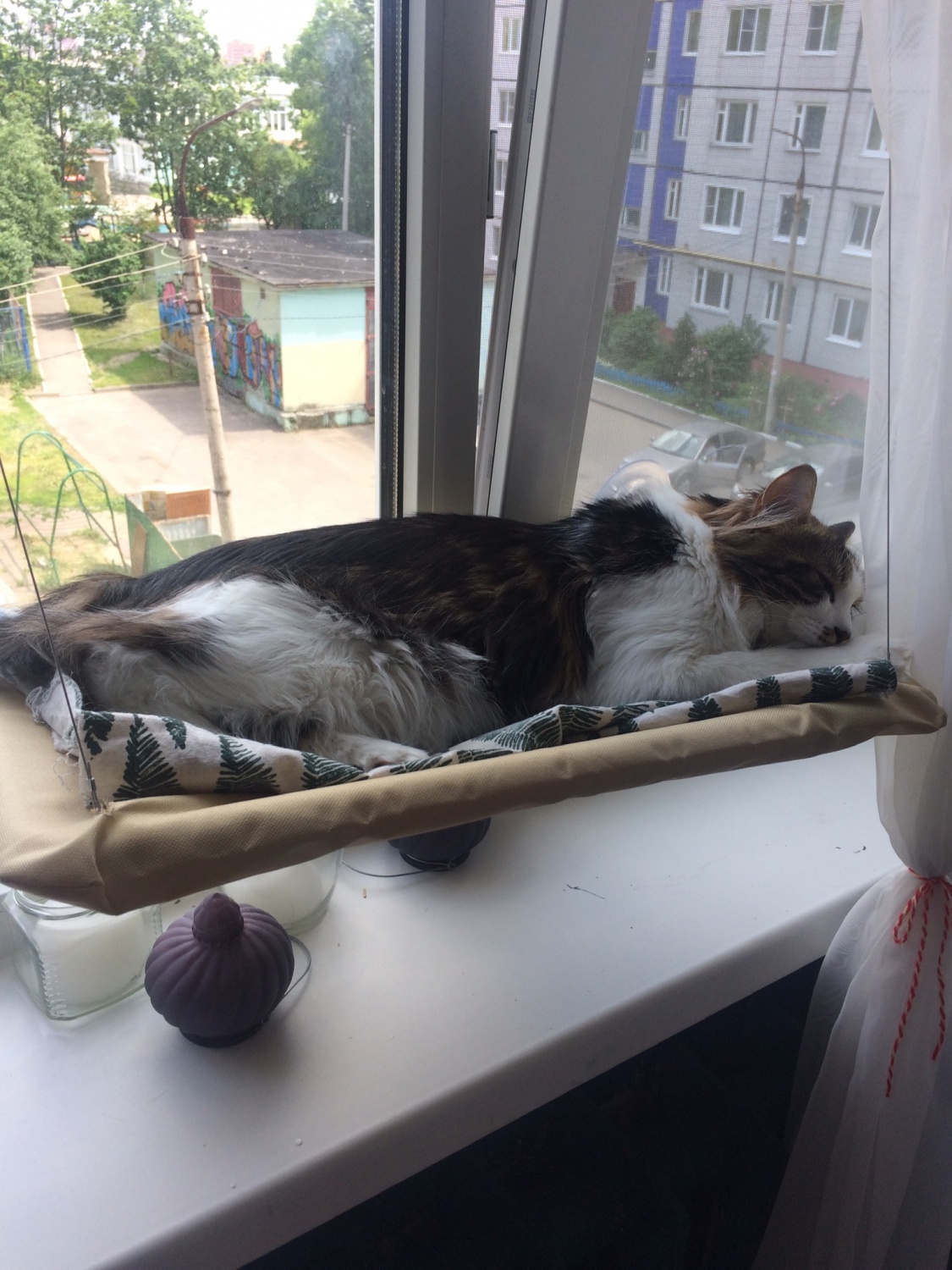 Лежак для кошки своими руками: как сделать лежанку-гамак для любимого кота