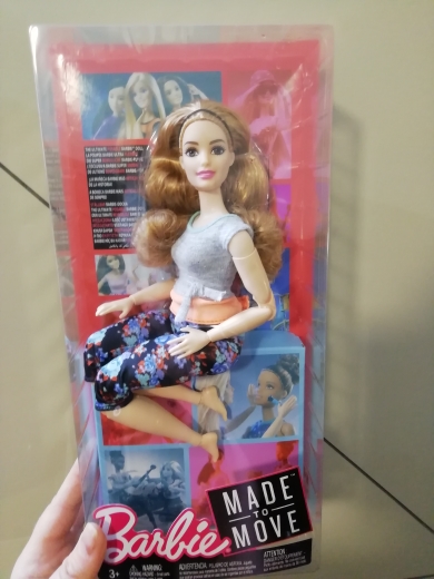 barbie ftg84