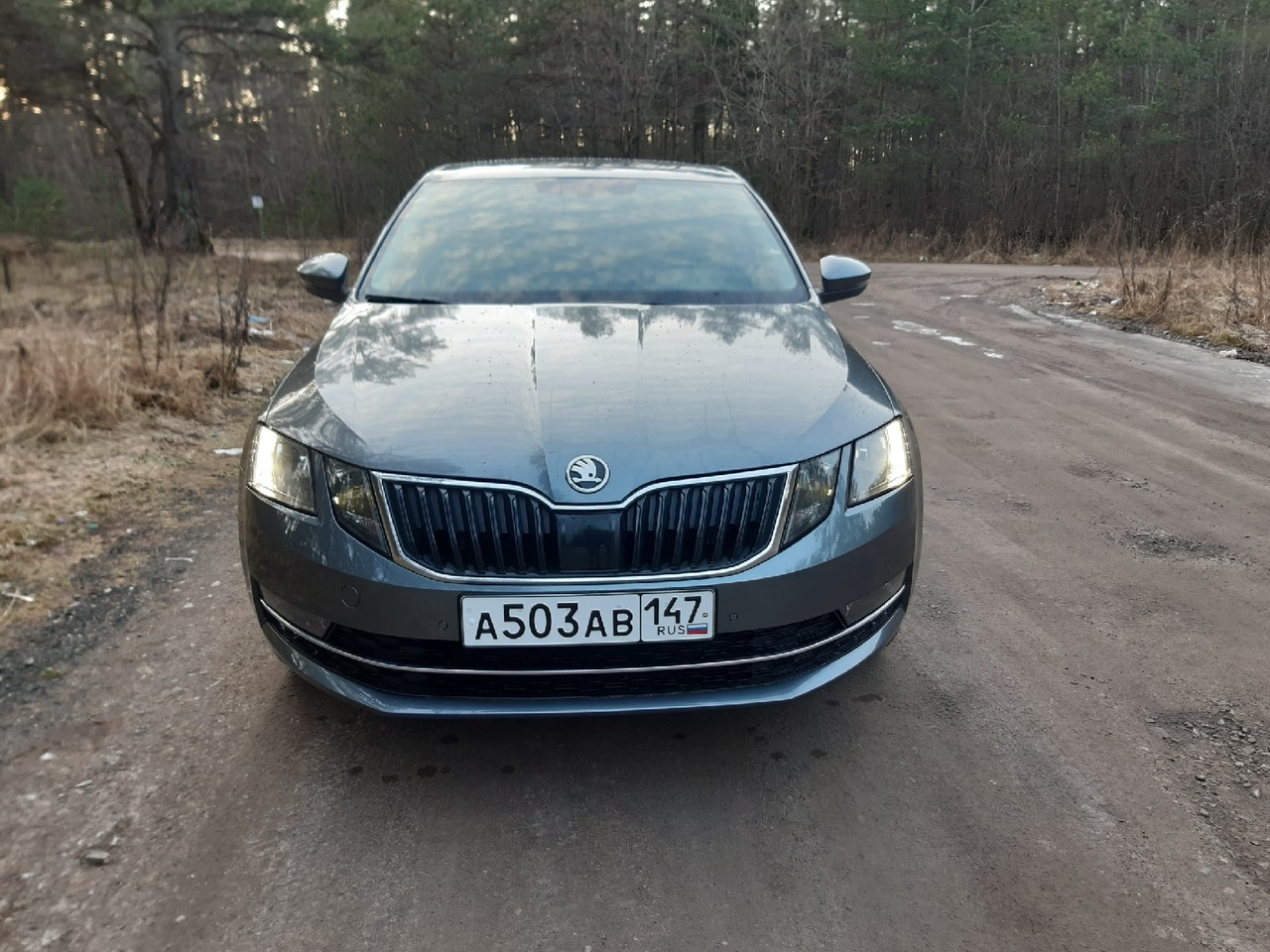 Skoda Octavia Лифтбек - отзывы владельцев