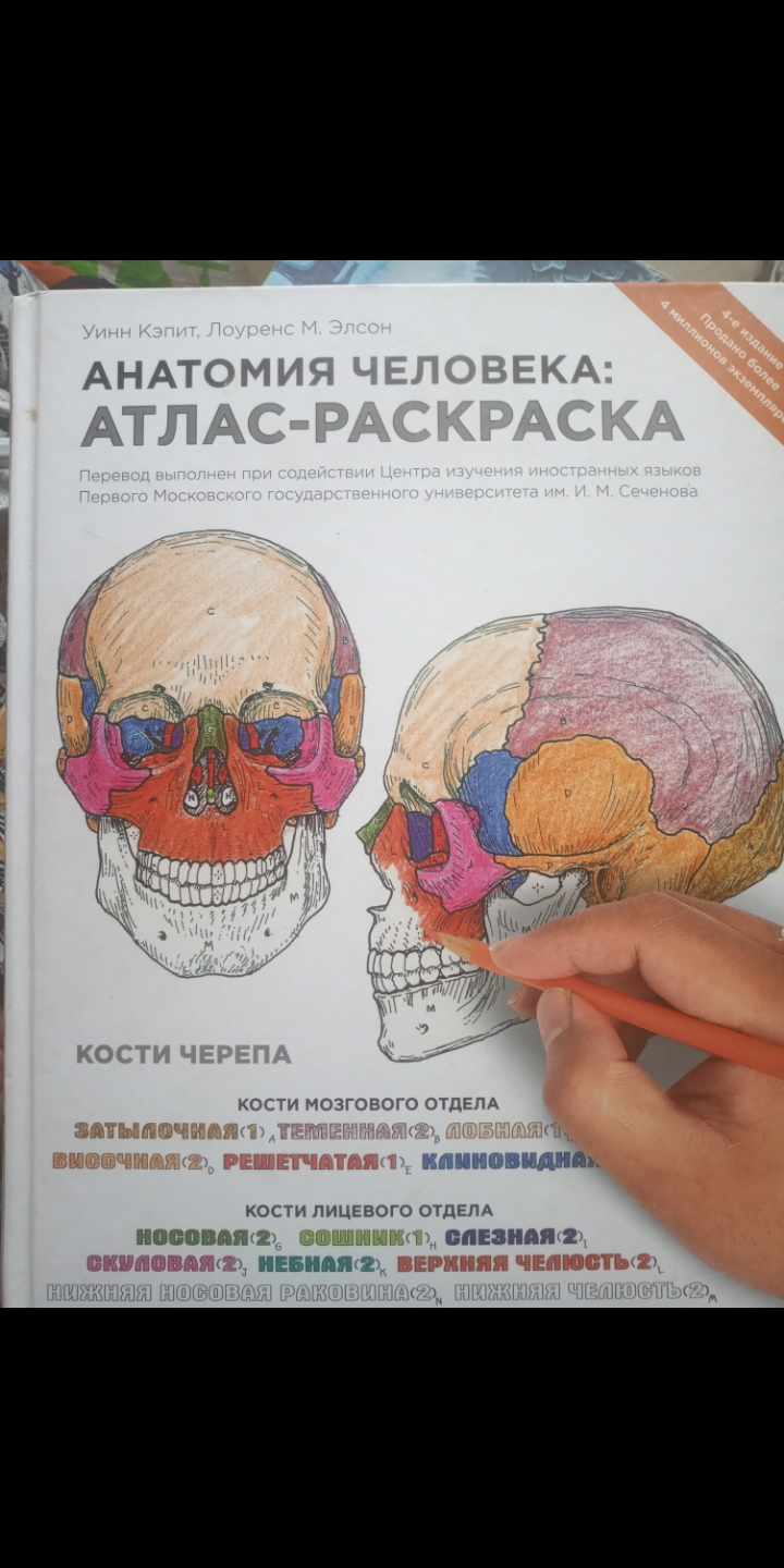 Анатомия человека: атлас-раскраска | Кэпит Уинн, Элсон Лоренс М.