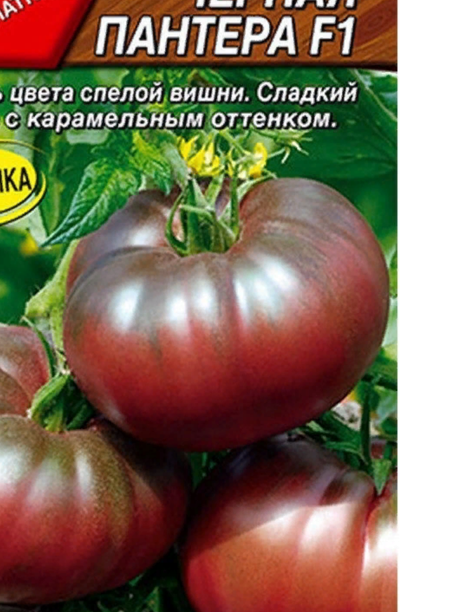 Томат Пантера: описание сорта помидоров, характеристики, посадка и выращивание, болезни и вредители, отзывы