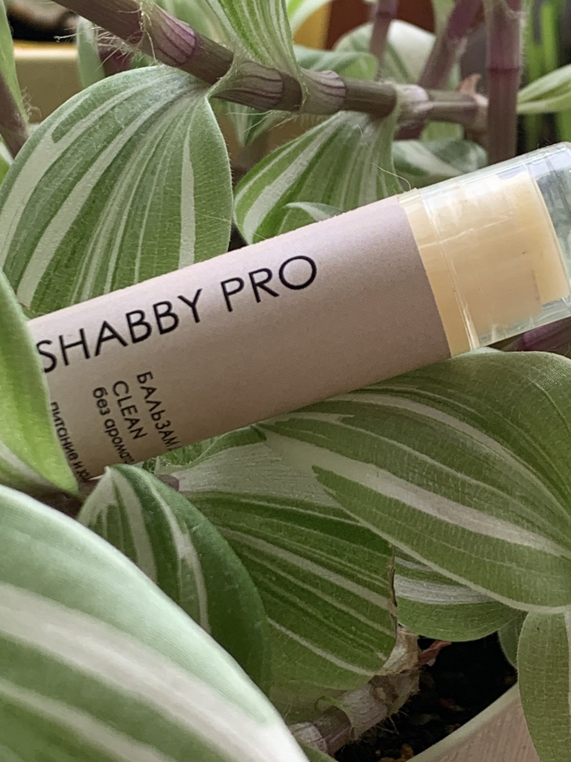 Бальзам для губ Shabby pro Clean | отзывы