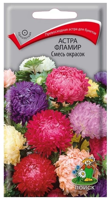 Семена Поиск Астра Фламир смесь окрасок - «Самая лучшая смесь ...