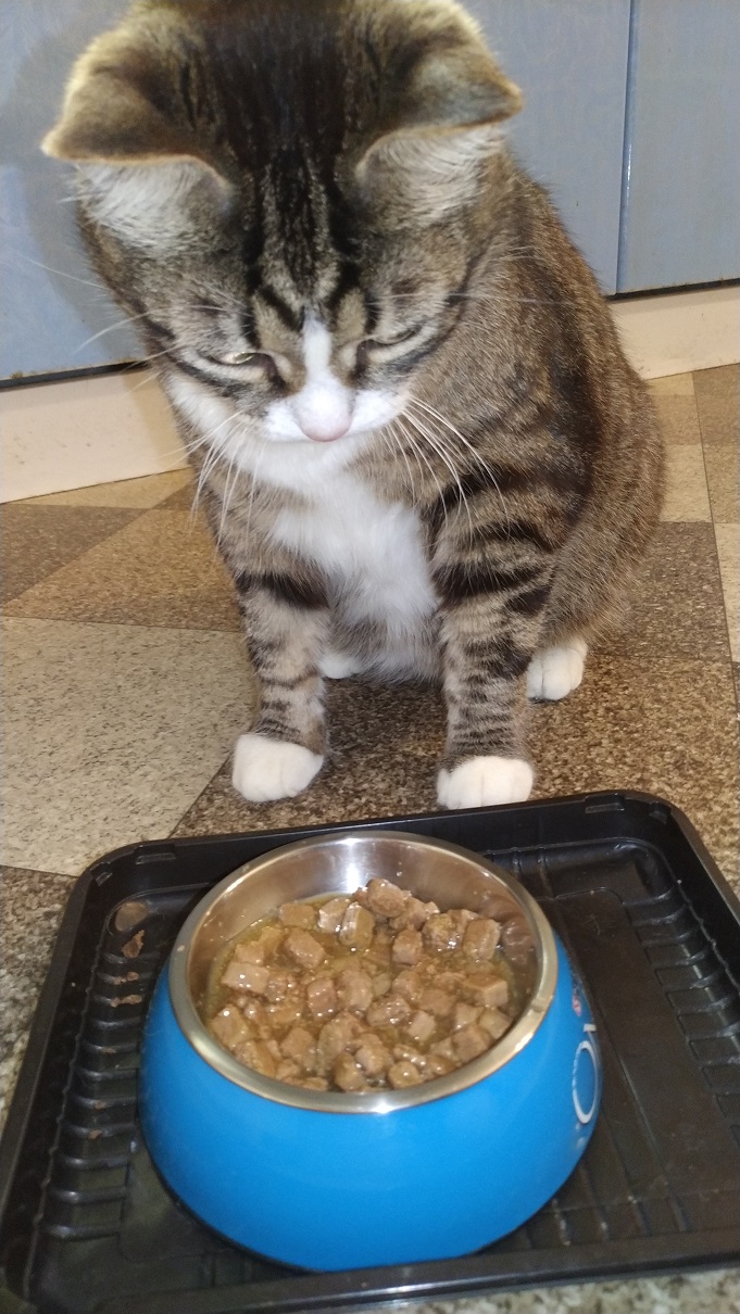Корм для кошек Purina Pro Plan Veterinary Diets при сахарном диабете (курица, 85 гр.) фото