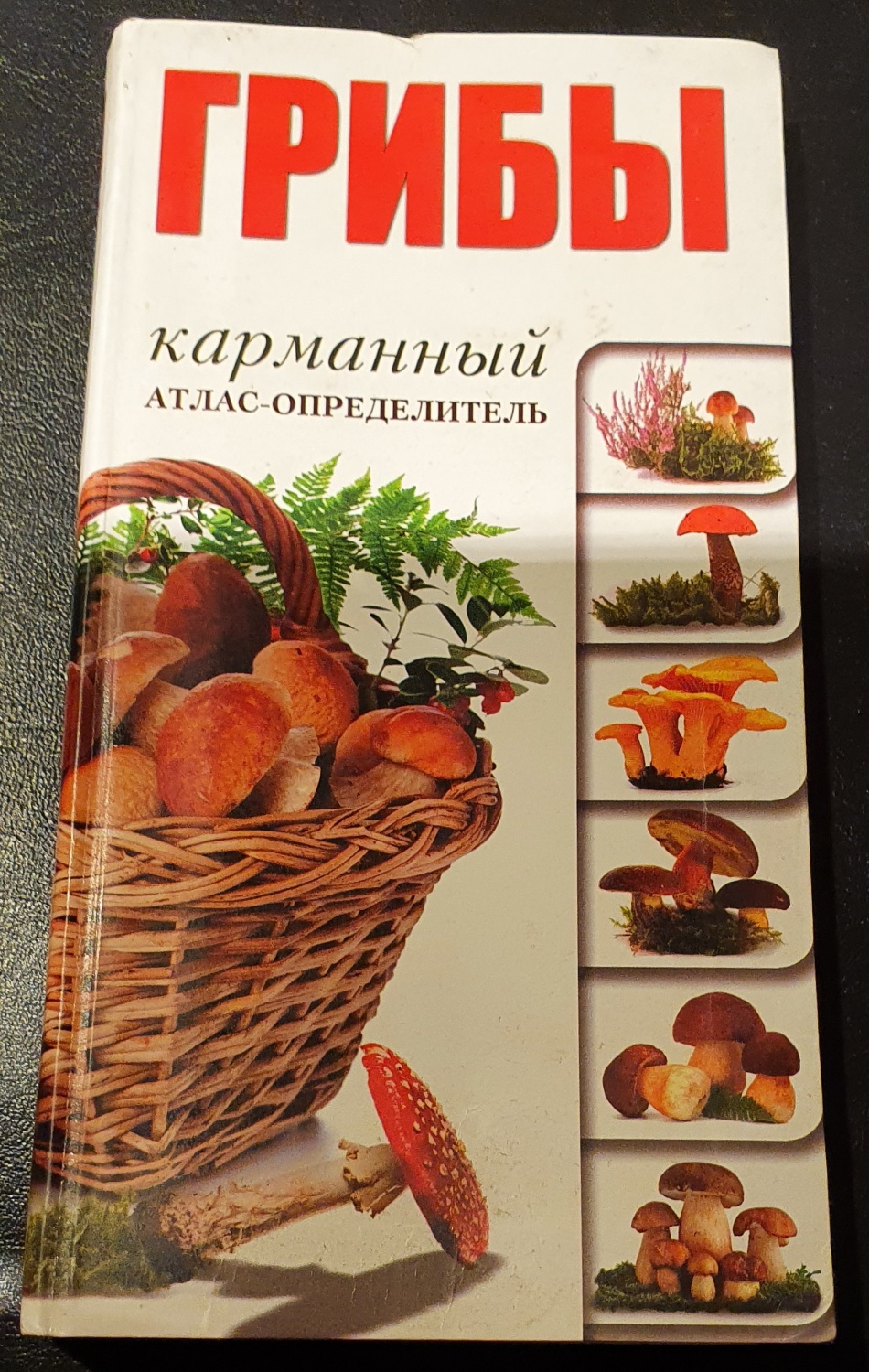 Грибы. Карманный атлас-определитель. Поленов А. Б. | отзывы