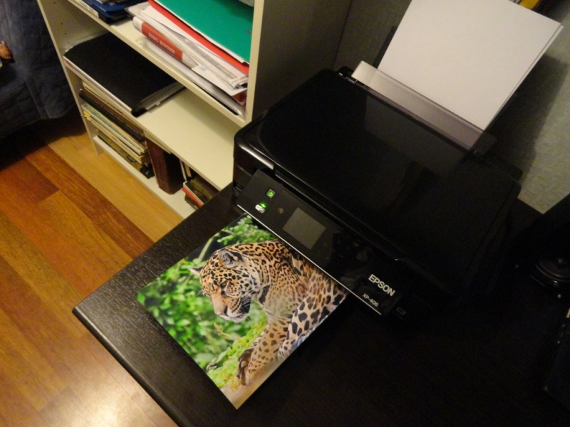 Многофункциональное устройство Epson XP-406 - «Почему его НЕ стоит ...