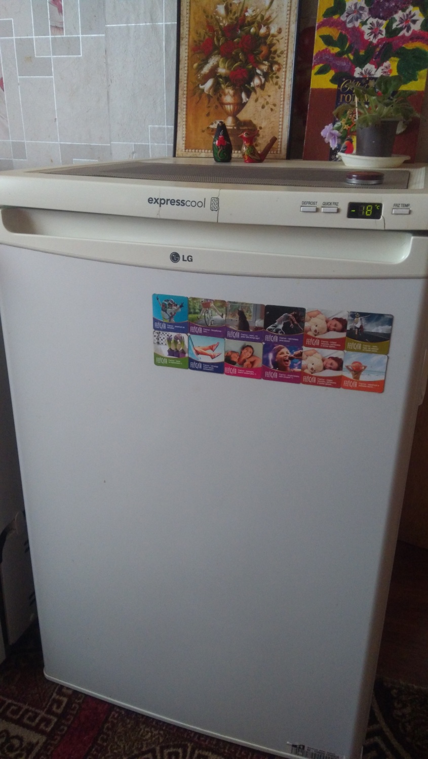 Морозильный шкаф lg gc 154sqw