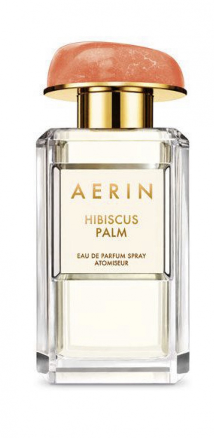 Aerin Hibiscus palm