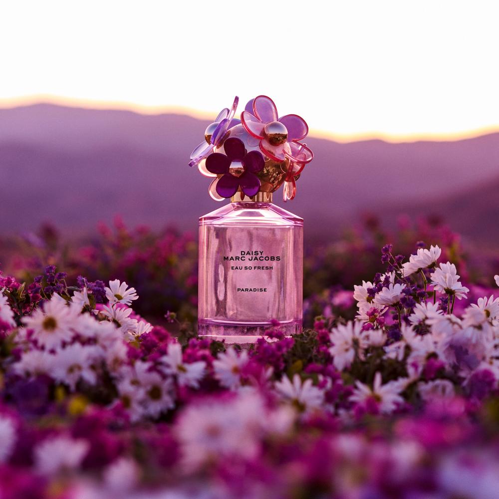 Daisy perfume eau so fresh online