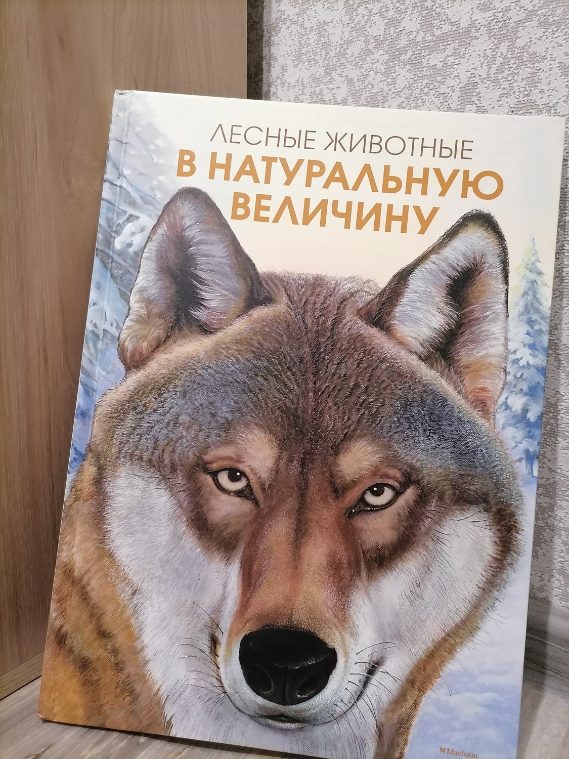 Зверь отзывы. Лесные животные в натуральную величину книга. Хааг х. Лесные животные в натуральную величину. Лесные животные книга Роббинс. Отзыв о животных.