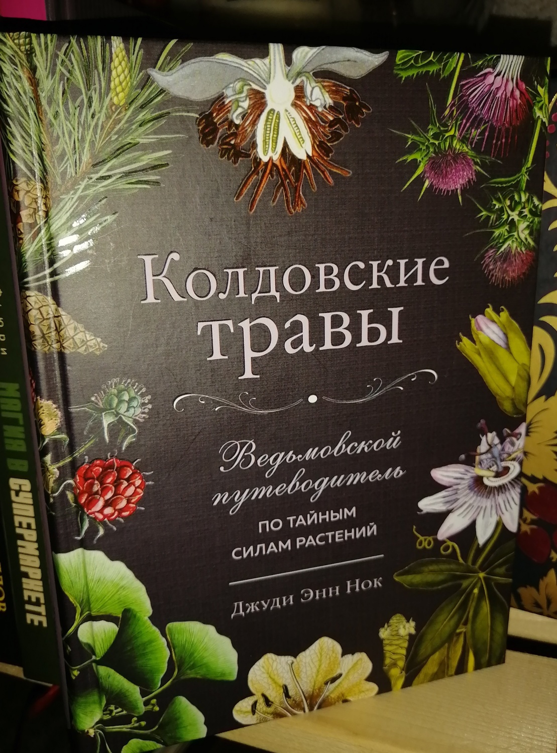 Колдовские травы. Джуди Энн Нок - ««Колдовские травы» Джуди Энн Нок – самый  лучший справочник о свойствах трав и их применении в магии, из всех  изданных за последнее время.» | отзывы