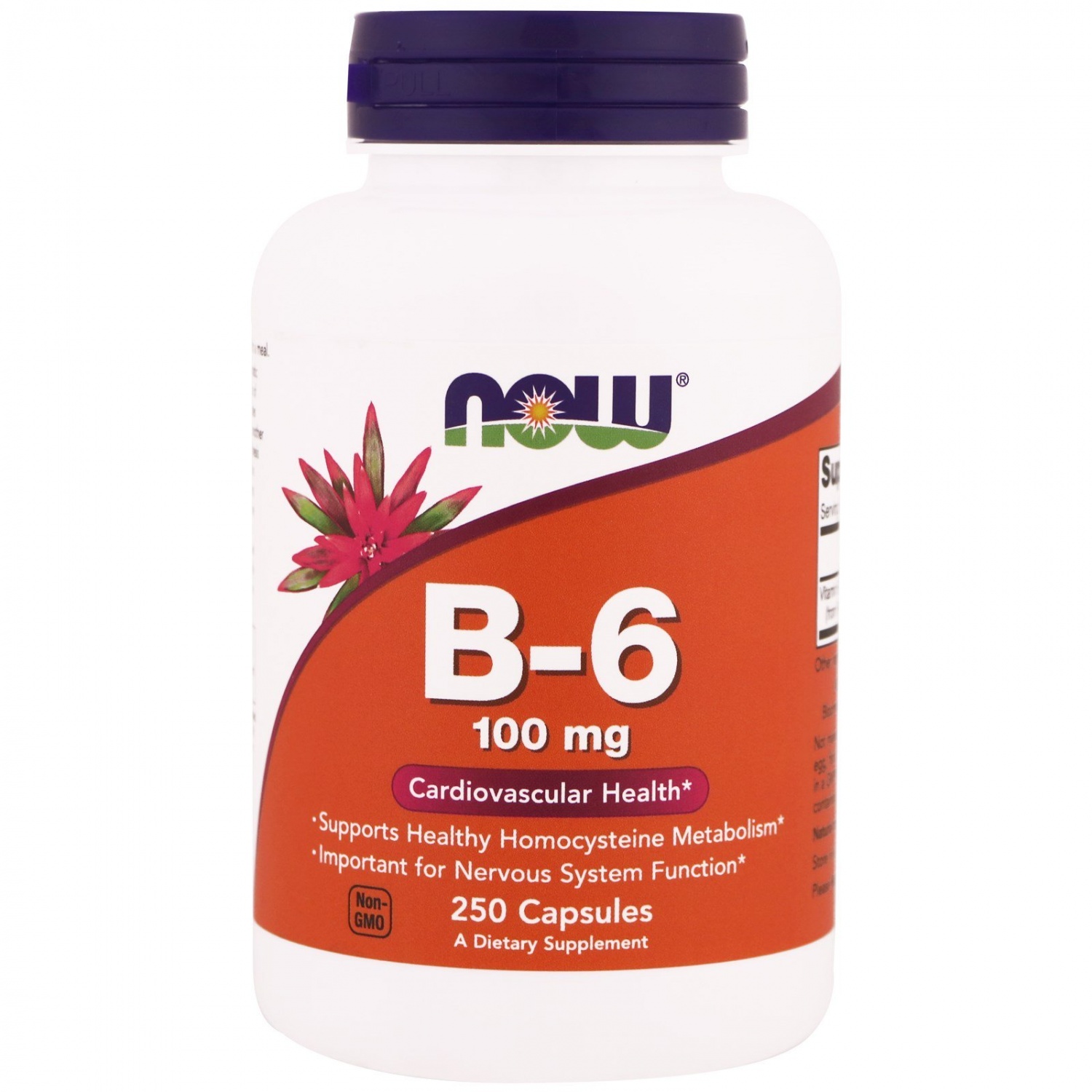 БАД Now Foods B-6, 100 mg - «Что выбрать Now Foods B-6, 100 mg или .
