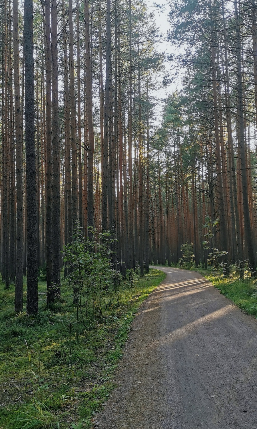 Ленинская тропа, Санкт-Петербург | отзывы