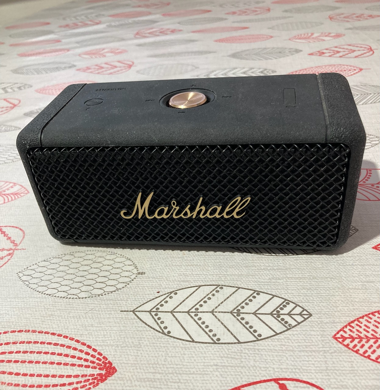 Портативная колонка Marshall Emberton | отзывы