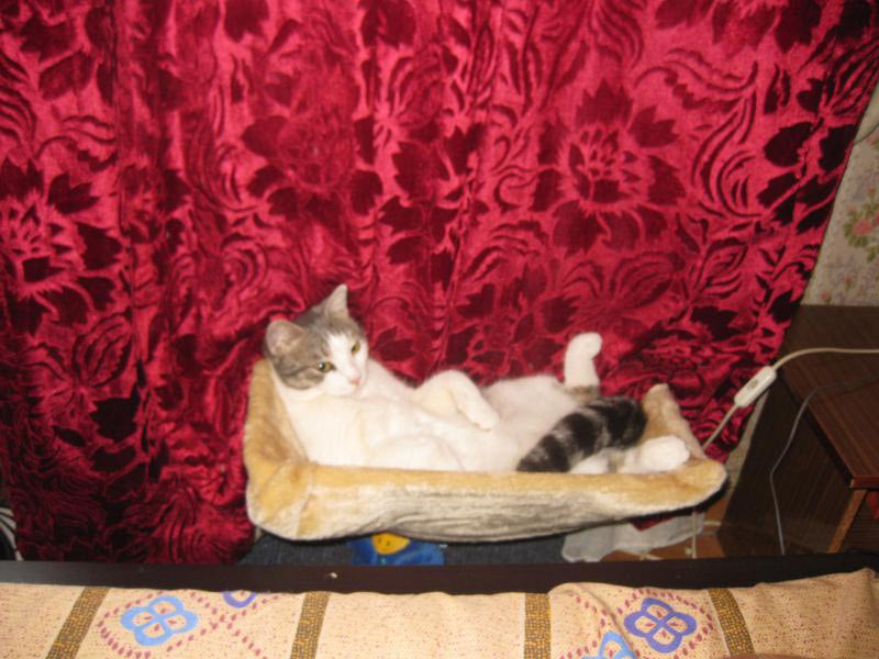 Гамак для кошек Trixie на радиатор фото