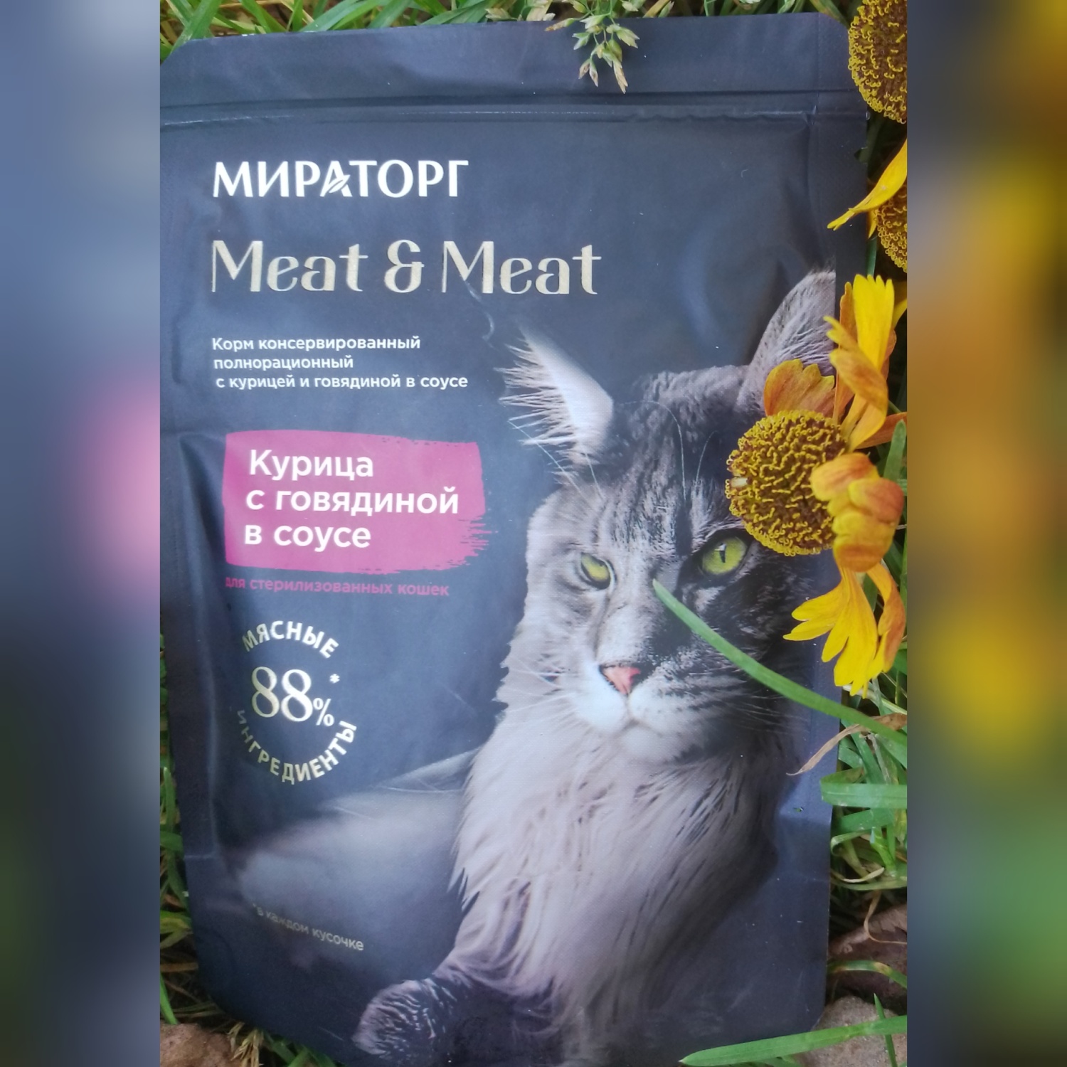 Корм для кошек МИРАТОРГ Meat/Meat курица с говядиной в соусе | отзывы