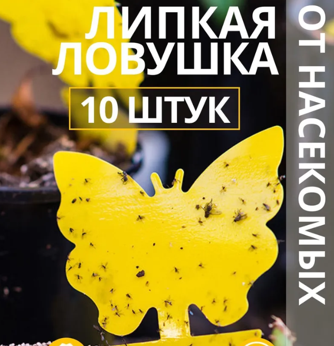 Ловушка для насекомых ОЗОН Приманка 946333495 | отзывы