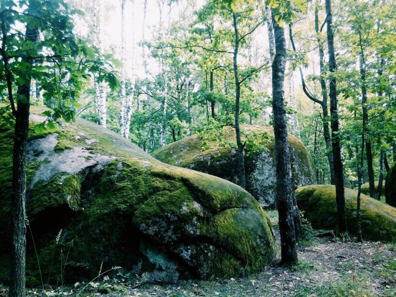 Каменное село фото Каменное село, Житомирская область, Украина отзывы