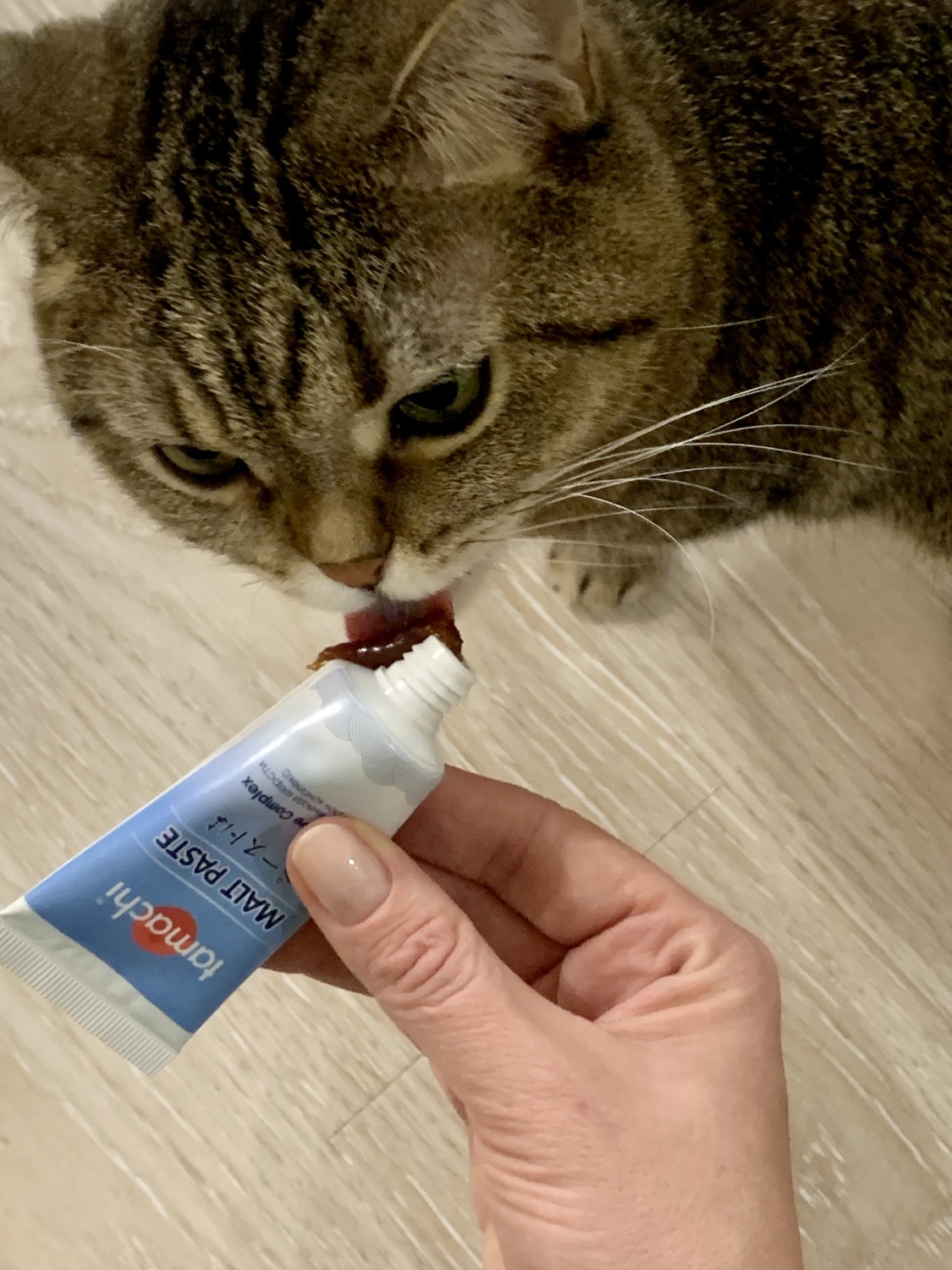 Паста для вывода шерсти Cliny для кошек: отзывы, инструкция