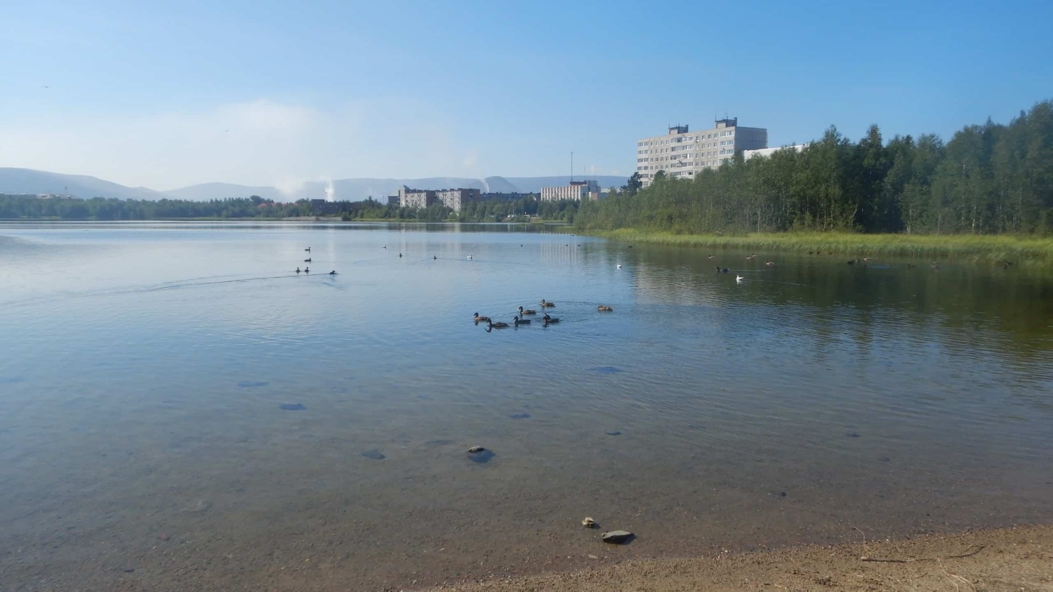 Озеро Комсомольское. г. Мончегорск., Мончегорск | отзывы