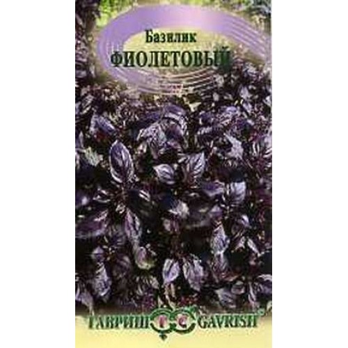 Базилик Русский гигант фиолетовый описание сорта характеристики выращивание отзывы