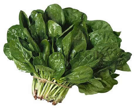 Овощи Шпинат - «Шпинат - овощ, который часто все обходят стороной, из занезнания. Выращиваю даже зимой в открытом грунте! Максимально простыерецепты со шпинатом.»