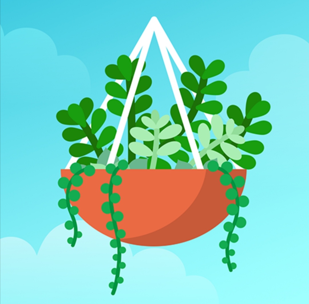 Приложение Terrarium | отзывы