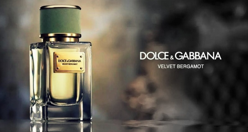 Dolce \u0026 Gabbana Velvet Bergamot 