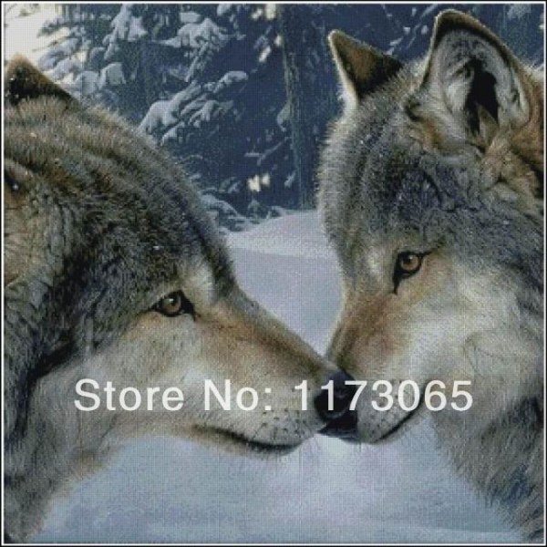 Волки (Пара волков) 271
