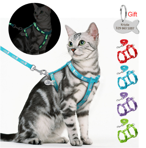 Шлейка для кошки Aliexpress Nylon Harness and Leash Set With Customized |  отзывы