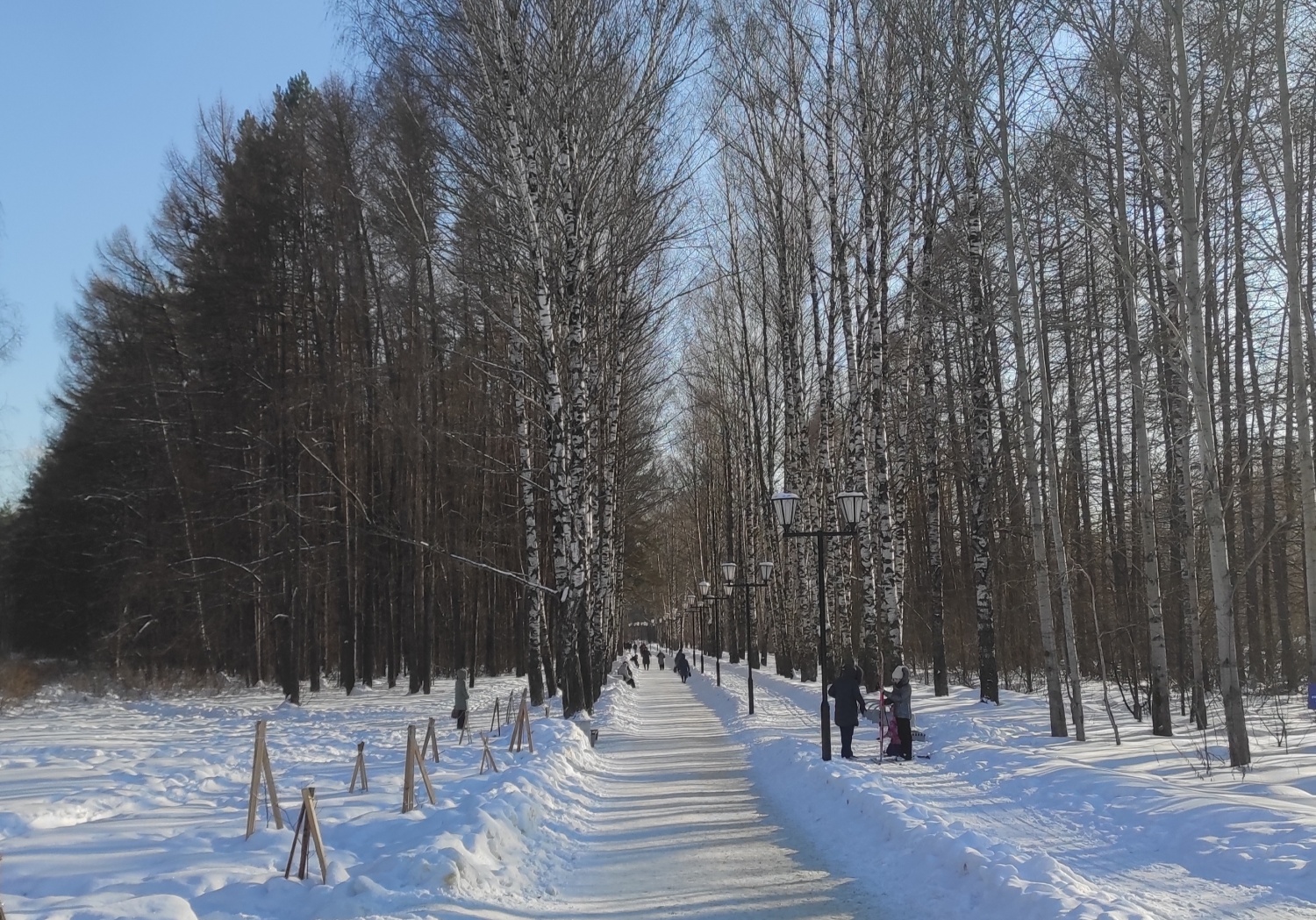 Парк Сосновая роща, Йошкар-Ола - «Островок живой природы в черте города. »  | отзывы