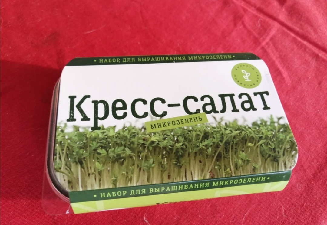 Кресс-салат: выращивание на огороде и дома