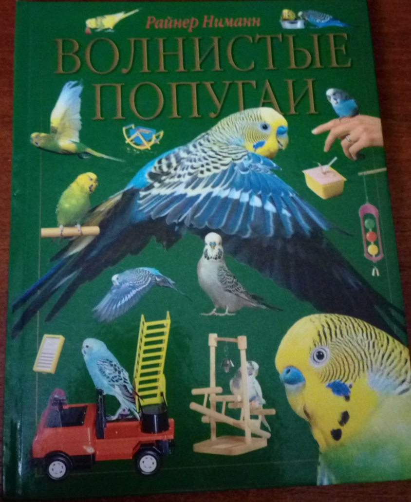 Волнистые попугаи. Райнер Ниманн - «Все, что нужно знать любителям волнистых  попугаев» | отзывы