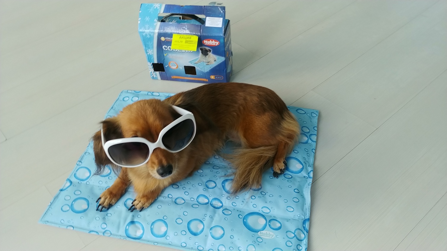 Охлаждающие коврики для собак