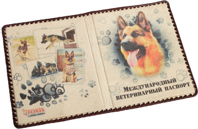 Как сделать обложку для ветеринарного паспорта