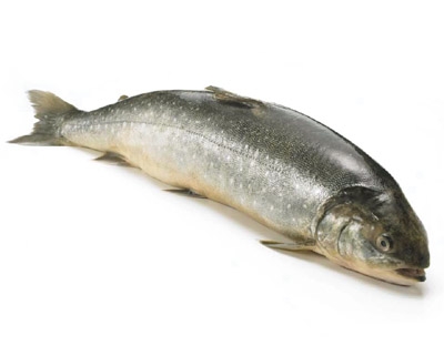 Рыба голец запеченная пластом со сметаной и замороженной овощной смесью