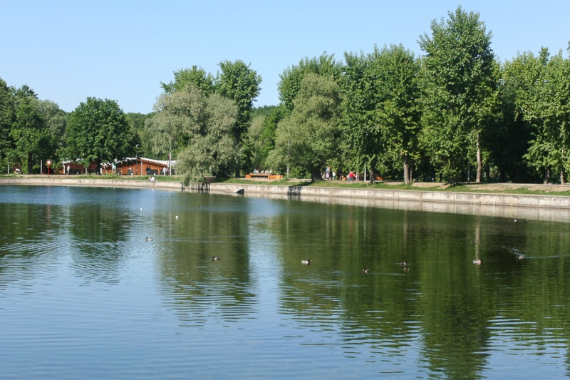 Терлецкий лесопарк москва