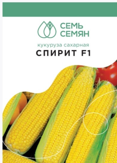 Кукуруза Спирит: описание сорта, характеристики, особенности посадки и выращивания, отзывы
