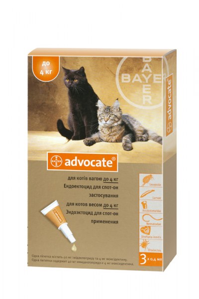 Капли от блох и клещей Bayer для кошек Advocate - «Bayer Advocate: не  только для кошек, а еще и для хорьков! Подробный отзыв: где купить, состав,  эффективность, побочные эффекты + фото. » | отзывы