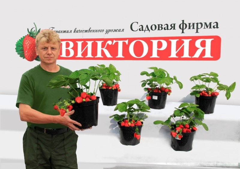 Виктория Магазин Саженцев Челябинска
