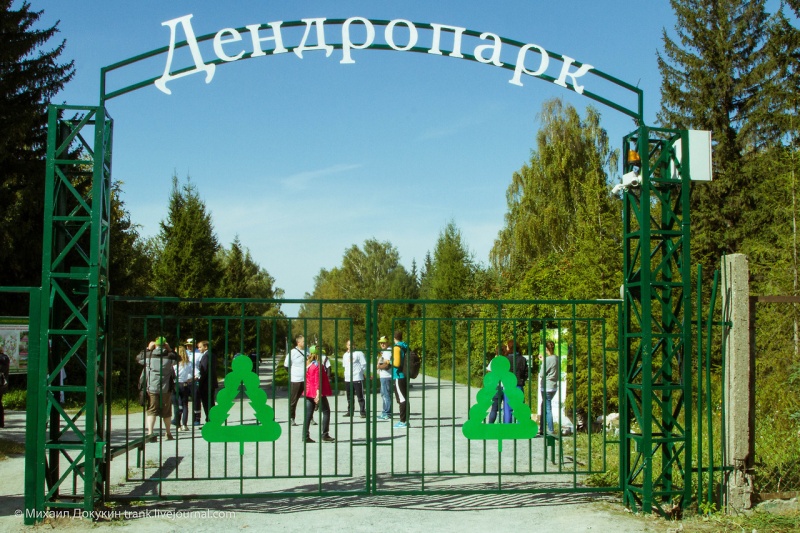 Дендропарк Новосибирск Фото