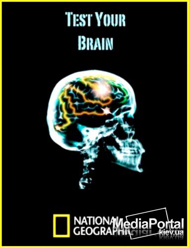 Тест мозга 4. Испытайте свой мозг. National Geographic: испытайте свой мозг. Мозг Лабиринт. Чувствую свой мозг.