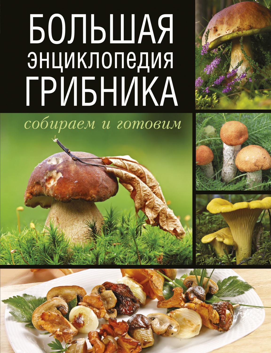 Большая энциклопедия грибника. Поленов А. Б. - «Энциклопедия грибника. Как  научиться разбираться в грибах. Рецепты с грибами.» | отзывы