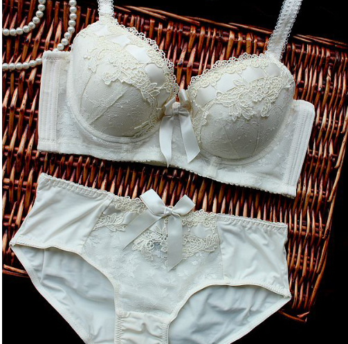 Women Bra Set Lingerie Set Luxurious Vintage Lace Embroidery Push Up Bra  and Panty Set 