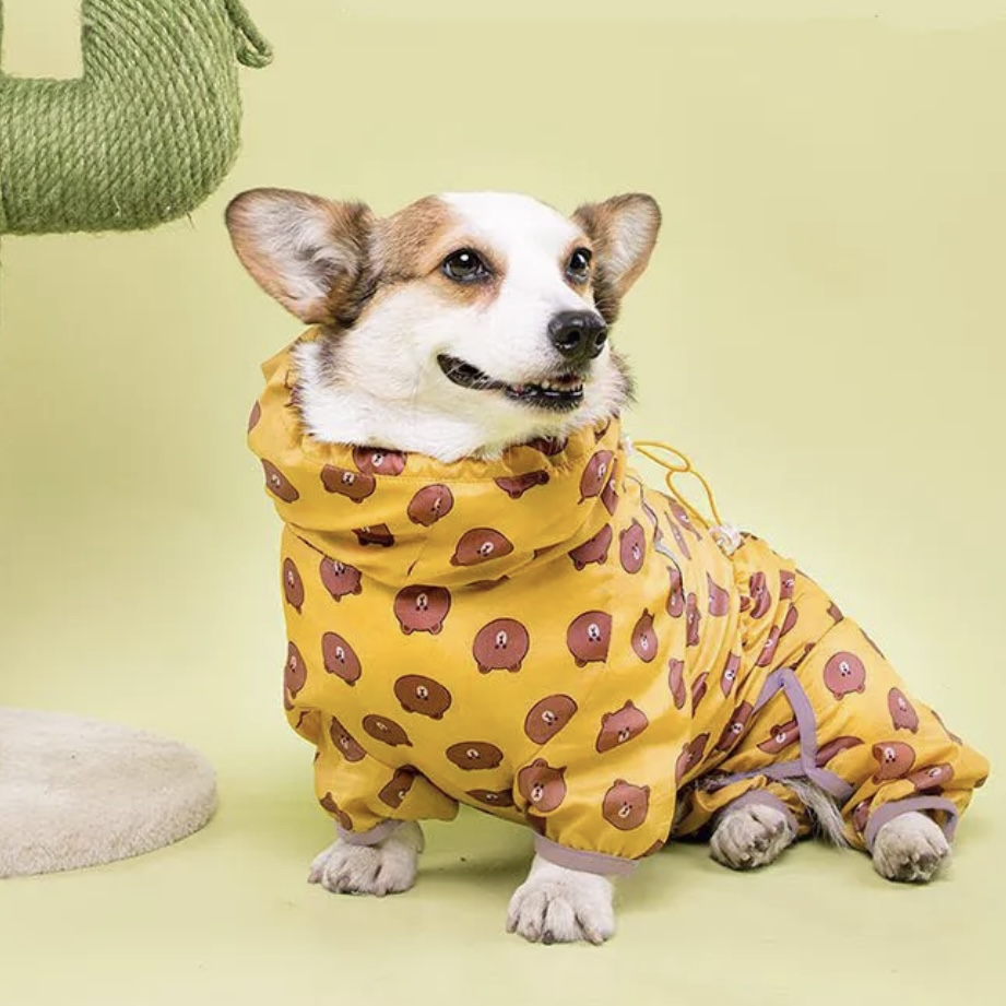 Одежда для собак Aliexpress Waterproof Welsh Corgi Dog Raincoat, Jumpsuit  Pet Clothing, Dog Clothes, Golden Retriever Rain Jacket, Costume Pet Outfit  - «Стильный дождевик для породы Вельш корги пемброк с Алиекспресс ☺️ 🐻 » |  отзывы