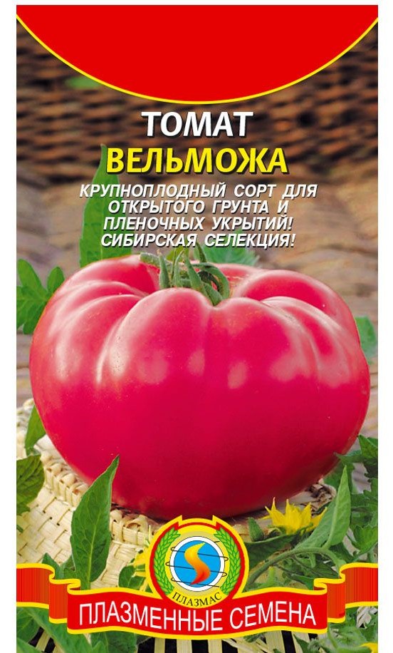 Томат Вельможа - «Урожайный сорт томата. Крупноплодные, одним томатом можнонакормить всю семью. Даст фору дорогим новикам современного рынка семян, истоять то они всего 20 рублей.»