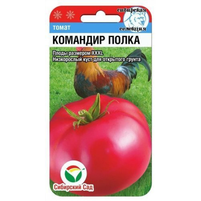 Томат Командир полка, Сибирский сад - «Крупноплодный сорт томата, урожайныйи вкусный. Для цельного употребления, соков и других заготовок. Достойныйсорт, должен быть у каждого дачника.»