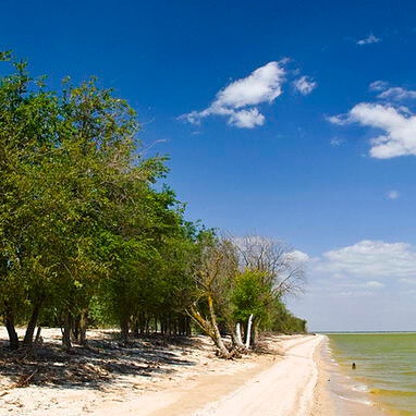 Приморско ахтарск морозовский фото