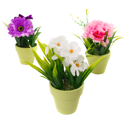 Горшечные цветы и деревья для дома | Купить недорого с доставкой по СПб - Newflora
